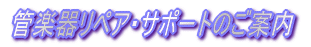 Ǌy탊yAET|[ĝē